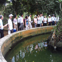 le tuyen the|dich thuat